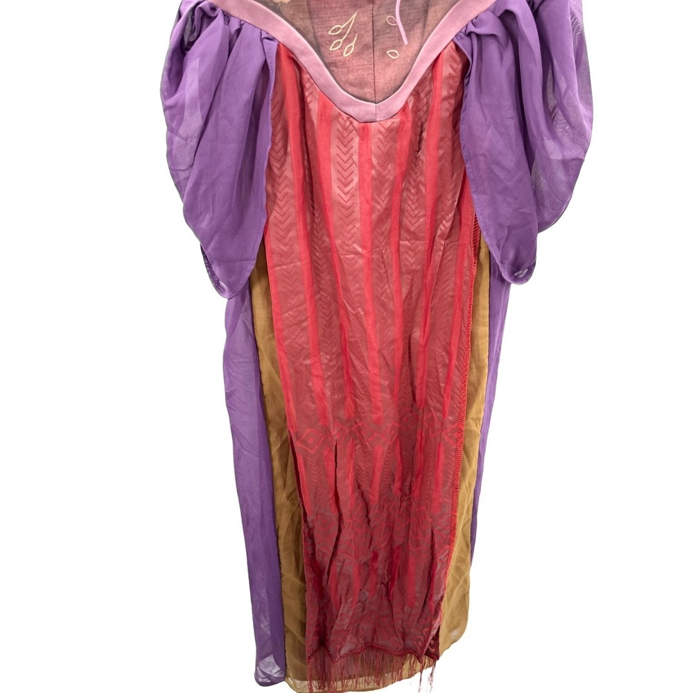 Disney Hocus Pocus Sanderson Sister Costume Dress Renaissance Size S/M - Picture 4 of 9